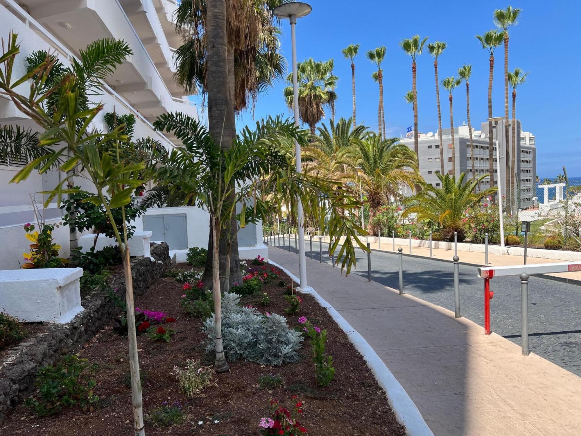 Playa Feñabe Tenerife Sea View 216 מראה חיצוני תמונה
